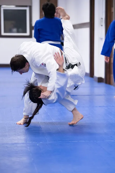 Budokan Judo Dojo Picture 9