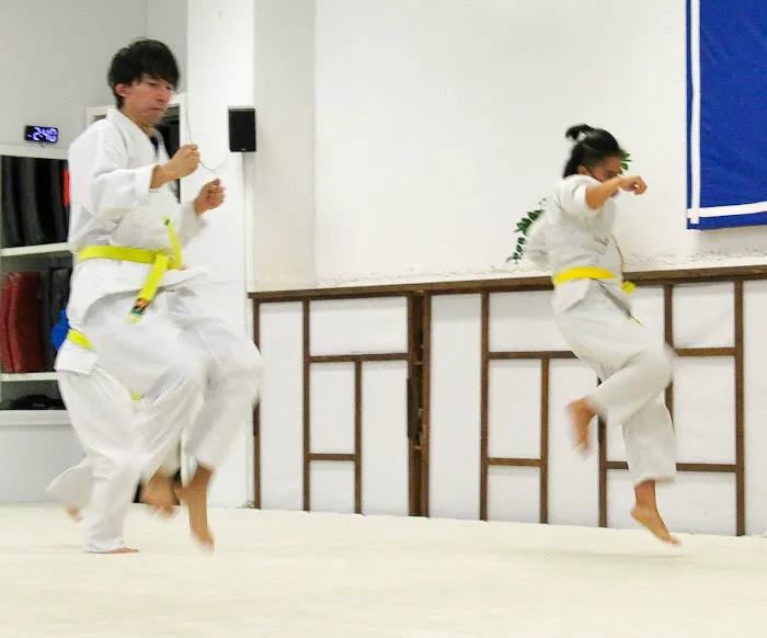 Quantum Martial Arts Picture 2
