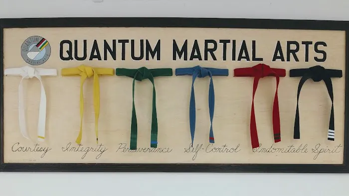 Quantum Martial Arts Picture 8