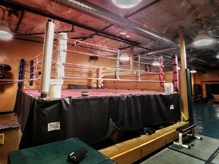 Ivan Salaverry MMA Picture 1