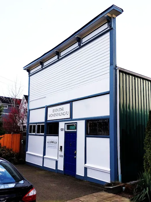 Seven Star Women's Kung Fu Picture 2