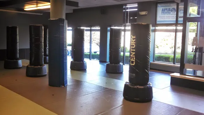 Alpha Martial Arts Picture 7