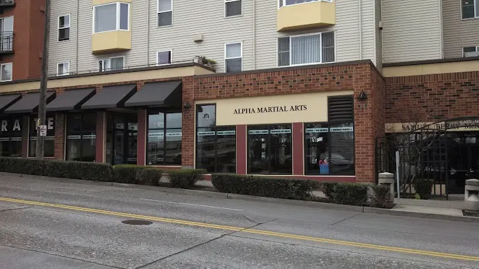 Alpha Martial Arts Picture 4