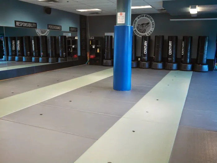 Alpha Martial Arts Picture 6