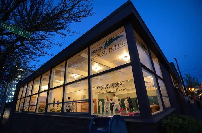 Praxis Brazilian Jiu Jitsu Picture 4