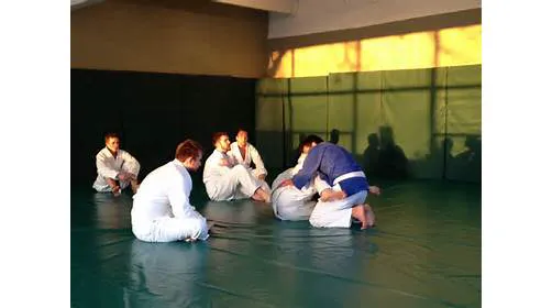 Praxis Brazilian Jiu Jitsu Picture 2