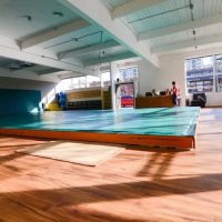 Praxis Brazilian Jiu Jitsu ico