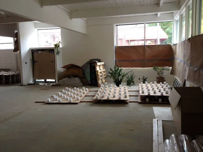 Praxis Brazilian Jiu Jitsu Picture 6