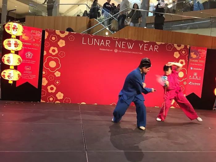 Wudang Kungfu Academy Picture 1