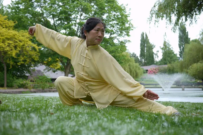 Wudang Kungfu Academy Picture 5