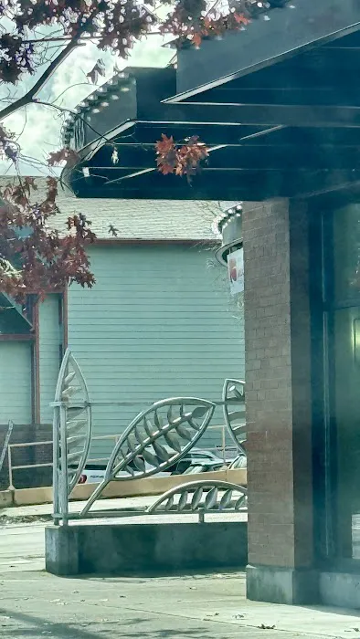 Kim's Tae Kwon Do Rainier Valley Picture 3