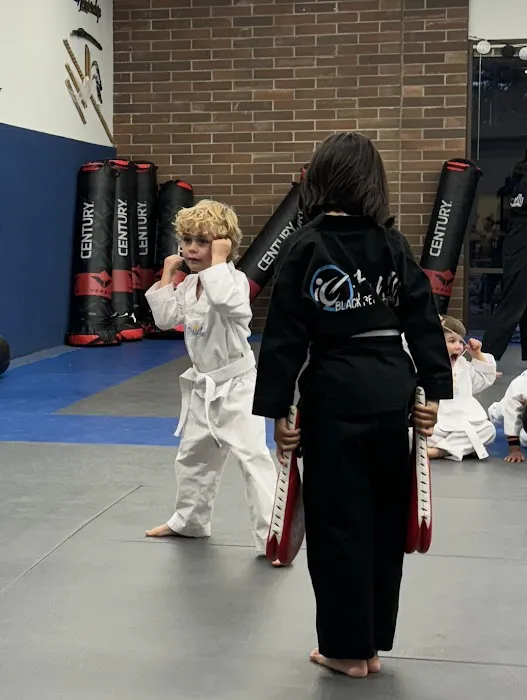 Family Black Belt Academy Picture 2