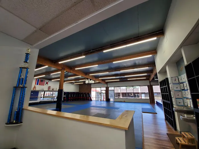 Family Black Belt Academy Picture 7