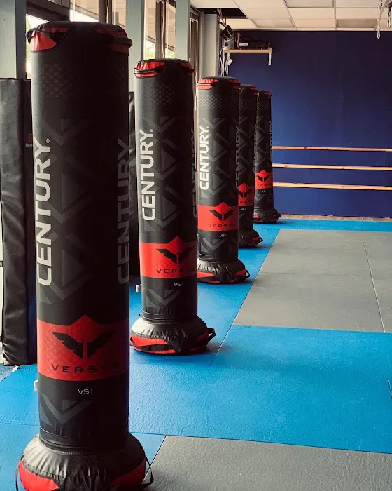 Family Black Belt Academy Picture 9