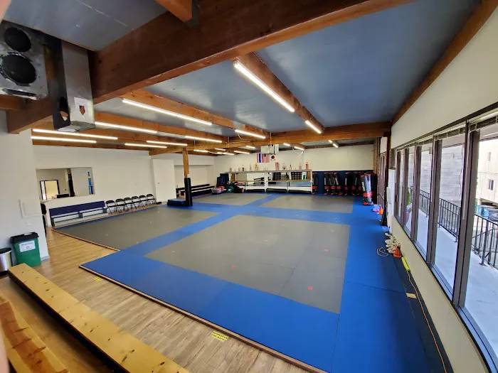 Family Black Belt Academy Picture 8