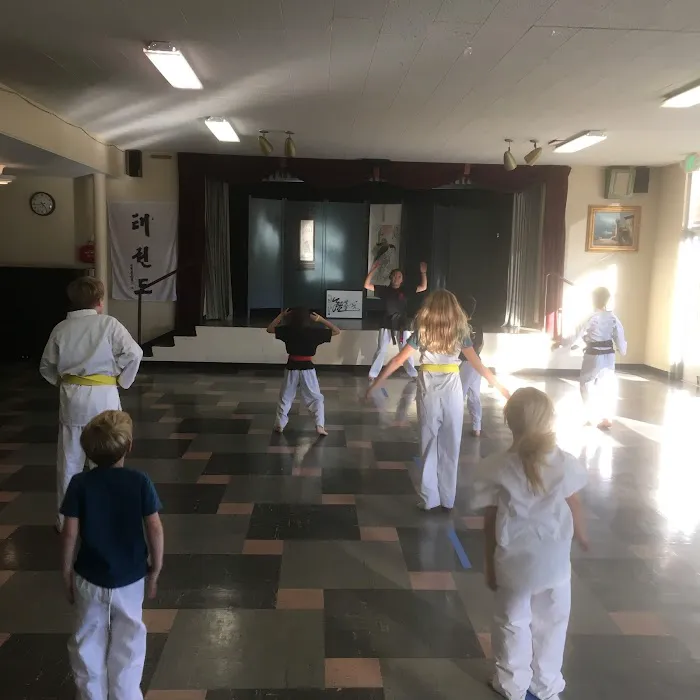 Alki Taekwondo Picture 3