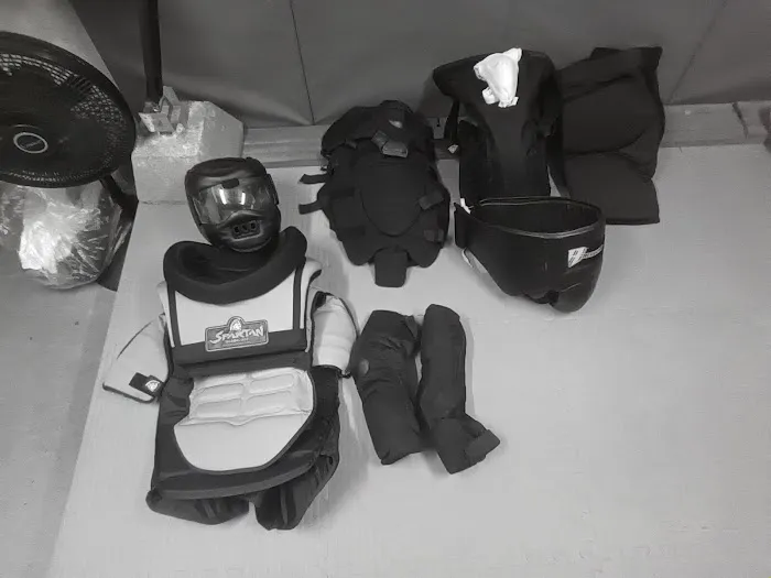 Sensei Gregory C. Lewis' Modern Karate Picture 2