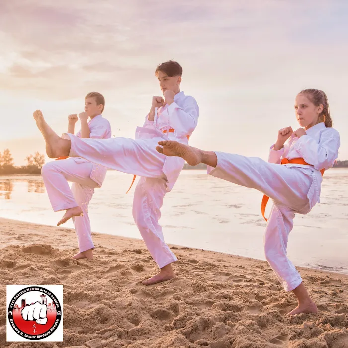 Sensei Gregory C. Lewis' Modern Karate Picture 8
