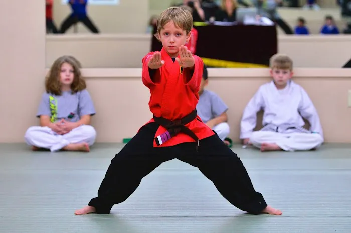 Mercer Island Martial Arts Picture 2