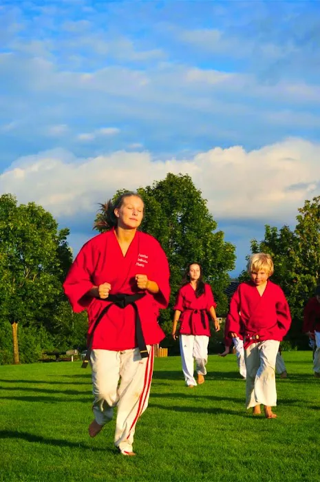 Mercer Island Martial Arts Picture 6