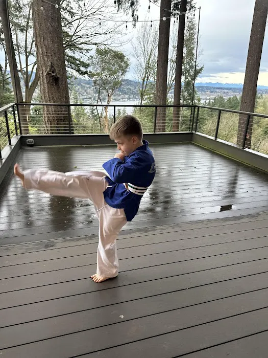 Mercer Island Martial Arts Picture 7
