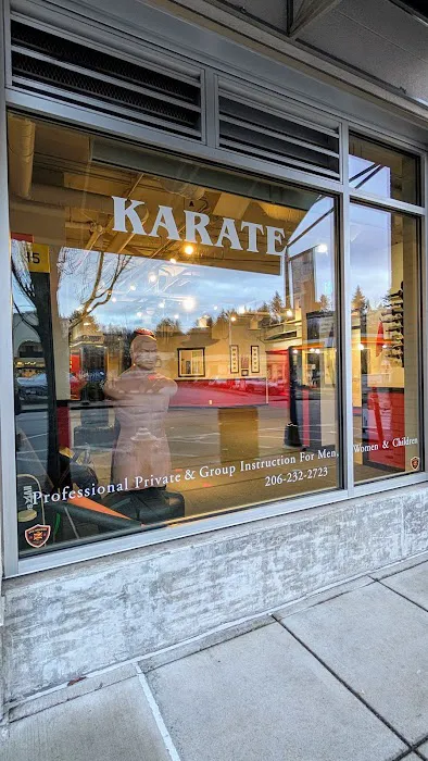 Zen Dragon Martial Arts Mercer Island Picture 5