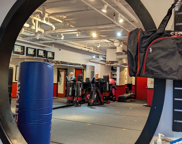 Zen Dragon Martial Arts Mercer Island Picture 7