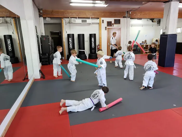 Alpha Martial Arts Ballard Picture 6