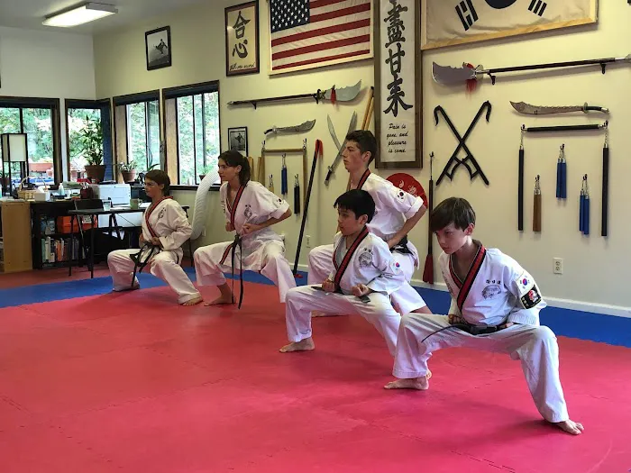 Oom Yung Doe - 8 Martial Arts - Seattle Picture 8