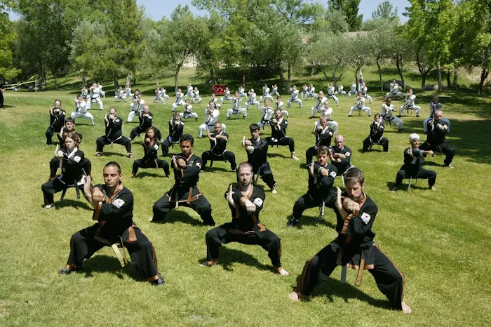 Oom Yung Doe - 8 Martial Arts - Seattle Picture 9