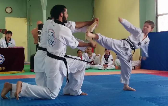 Han’s Martial Arts Academy Picture 7