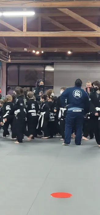 Combat Arts Academy Picture 2