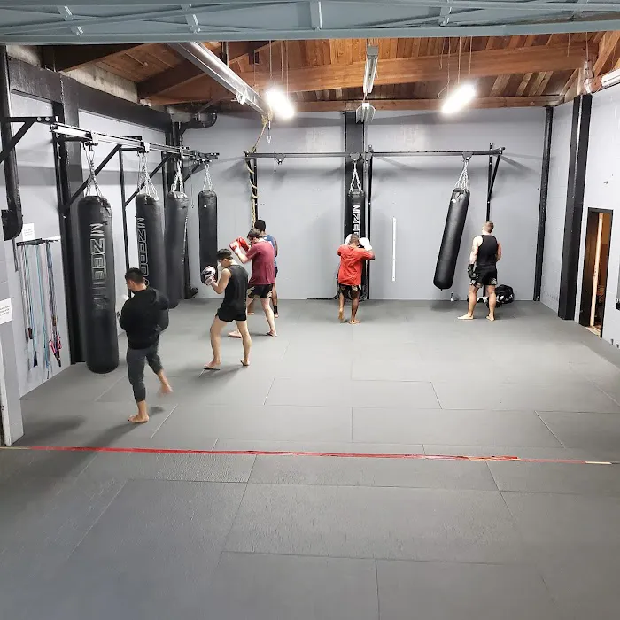 Combat Arts Academy Picture 3