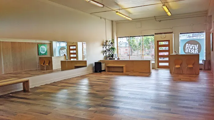 VivaArts Capoeira West Seattle Picture 10