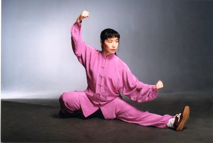 Chinese Wushu & Tai Chi Academy LLC Picture 1