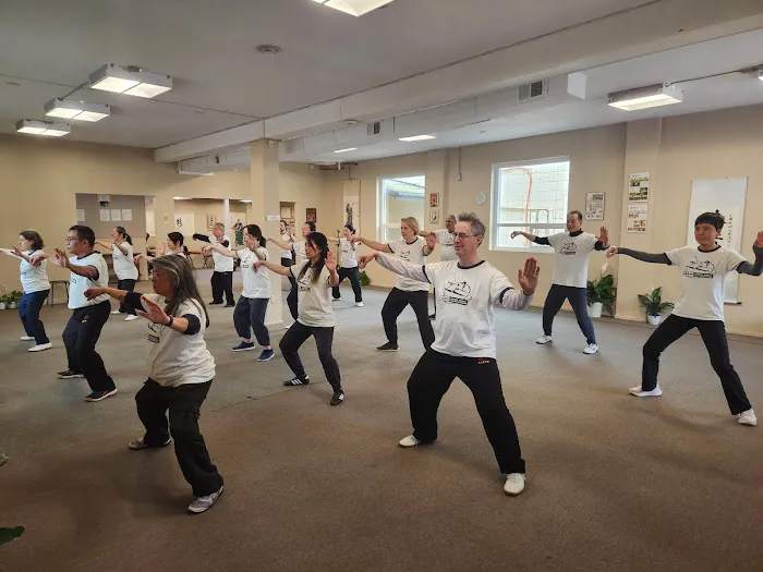 Chinese Wushu & Tai Chi Academy LLC Picture 2