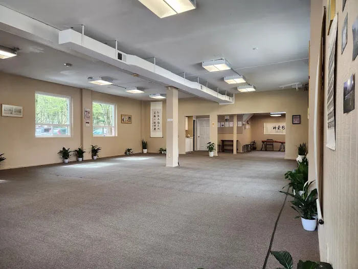 Chinese Wushu & Tai Chi Academy LLC Picture 5