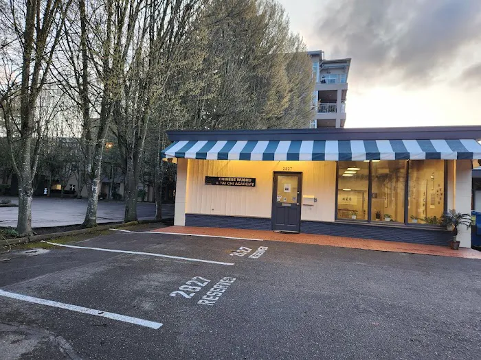 Chinese Wushu & Tai Chi Academy LLC Picture 6