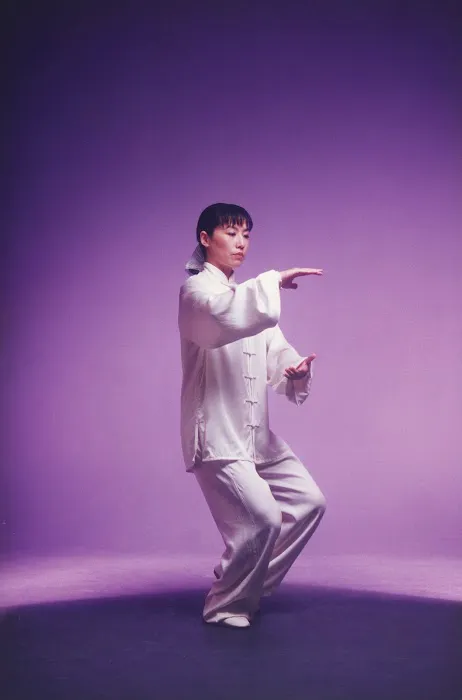 Chinese Wushu & Tai Chi Academy LLC Picture 8