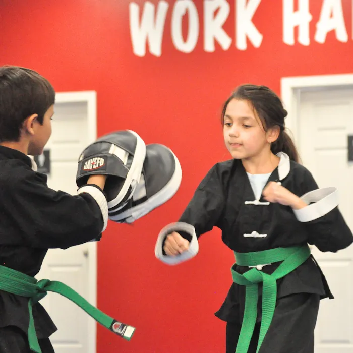 World Tae Kwon Do Academy Picture 9