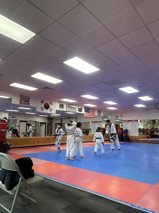 World Tae Kwon Do Academy Picture 10