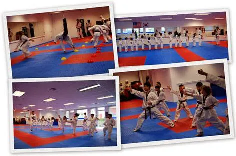 Bellevue Taekwondo/TKD for Kids Picture 4