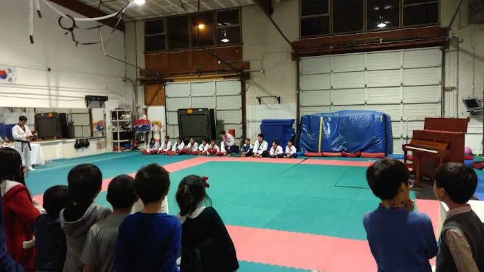 Bellevue Taekwondo/TKD for Kids Picture 1