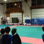Bellevue Taekwondo/TKD for Kids