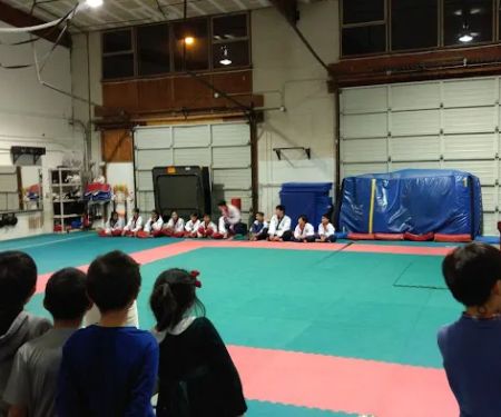 Bellevue Taekwondo/TKD for Kids