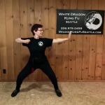 White Dragon Kung Fu Seattle