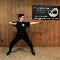 White Dragon Kung Fu Seattle ico