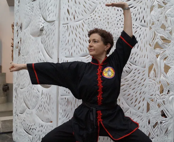 White Dragon Kung Fu Seattle Picture 8