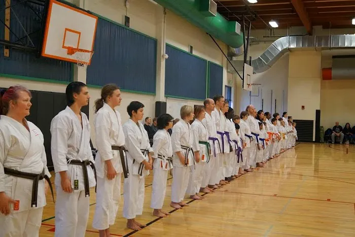 Emerald City Karate Picture 3