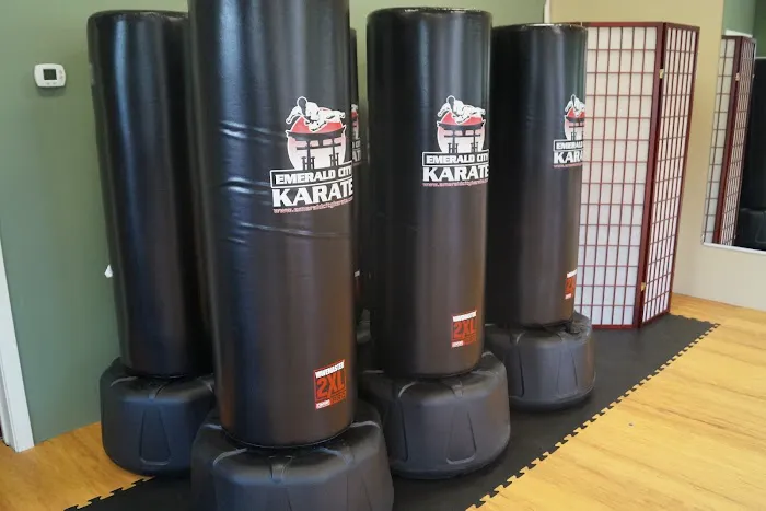 Emerald City Karate Picture 6